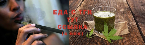 индика Абаза