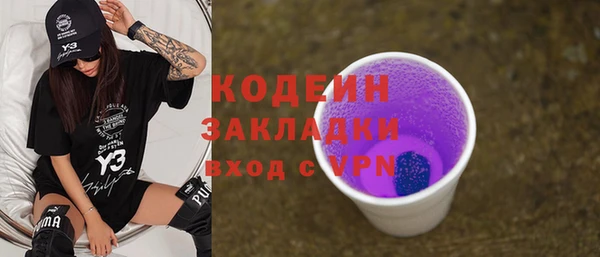 индика Абаза