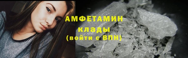 индика Абаза