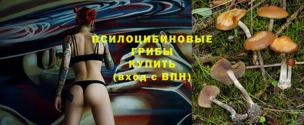 индика Абаза
