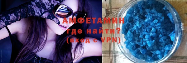 индика Абаза