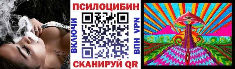 Псилоцибиновые грибы ЛСД  где продают наркотики  Зубцов 